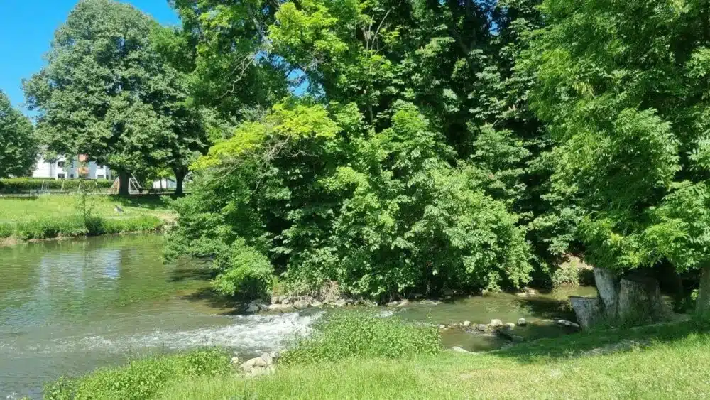 Fluss im Solmspark, Frankfurt Rödelheim